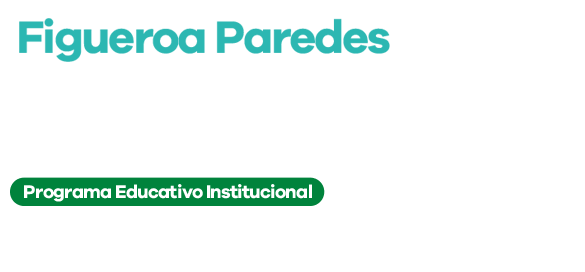 Figueroa Paredes Docencia